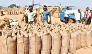 23.48 लाख किसानों से धान खरीदी, 29,597 करोड़ रुपए का भुगतान 23.48 लाख किसानों से धान खरीदी, 29,597 करोड़ रुपए का भुगतान