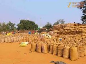  राजनांदगांव  जिले में धान खरीदी का महाभियान सफलतापूर्वक संपन्न