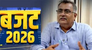    रोजगार और संरचना, विनिर्माण विकसित करने वाला बजट- डॉ. रविन्द्र के ब्रम्हे   