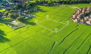  धमतरी, बलौदाबाजार और गरियाबंद में संशोधित गाइडलाइन दरें  लागू