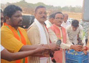  मुख्यमंत्री श्री साय के जन्मदिवस पर पादप बोर्ड द्वारा 2100 औषधीय पौधों का वितरण