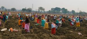 मनरेगा के अंतर्गत जिले की 300 ग्राम पंचायतों में निर्माण कार्य प्रारंभ