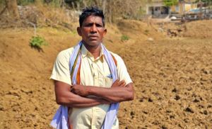 कृषक उन्नति योजना से किसान थान सिंह ने बदली अपनी तकदीर कृषक उन्नति योजना से किसान थान सिंह ने बदली अपनी तकदीर