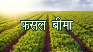  किसानों को उद्यानिकी फसलों का बीमा 31 जुलाई तक कराने की अपील