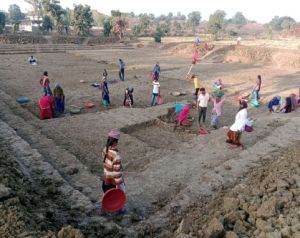 सामुदायिक डबरी निर्माण से बदली कर्रा गांव की तस्वीर सामुदायिक डबरी निर्माण से बदली कर्रा गांव की तस्वीर