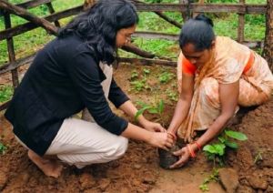 आंगनबाड़ी केंद्रों में पोषण शिक्षा को नई दिशा, स्थानीय खाद्य संसाधनों और मिलेट्स को मिलेगा बढ़ावा आंगनबाड़ी केंद्रों में पोषण शिक्षा को नई दिशा, स्थानीय खाद्य संसाधनों और मिलेट्स को मिलेगा बढ़ावा