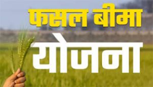 मौसम आधारित फसल बीमा योजना अंतर्गत खरीफ मौसम में फसल बीमा कराने की अंतिम तिथि 31 जुलाई मौसम आधारित फसल बीमा योजना अंतर्गत खरीफ मौसम में फसल बीमा कराने की अंतिम तिथि 31 जुलाई