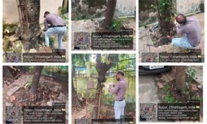 प्रोजेक्ट पुनर्जीवन अंतर्गत कांक्रीट के घेरों पेवर को हटाने अभियान प्रोजेक्ट पुनर्जीवन अंतर्गत कांक्रीट के घेरों पेवर को हटाने अभियान