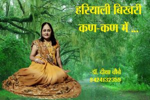 हरियाली बिखरी कण-कण में 