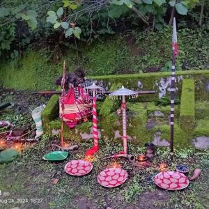 छत्तीसगढ़ वन विभाग द्वारा देवगुड़ी स्थलों के संरक्षण और संवर्धन से सांस्कृतिक धरोहर की हो रही है पुनर्स्थापना