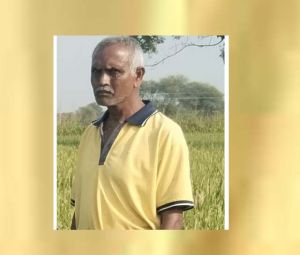 कम जल खपत वाली धान की नई किस्म एमटीयू 1156 एवं 1153 से अधिक उपज &ndash; कीट एवं व्याधि के प्रति प्रतिरोधी फसल