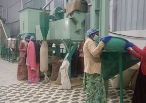  सशक्त मानसिकता से आत्मनिर्भरता की ओर: पोषण निर्माण में अहम भूमिका निभा रही हैं सूरजपुर की महिलाएं