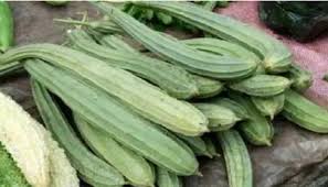 गर्मियों में तोरई खाने से सेहत को मिलेंगे ये 5 जबरदस्त फायदे गर्मियों में तोरई खाने से सेहत को मिलेंगे ये 5 जबरदस्त फायदे