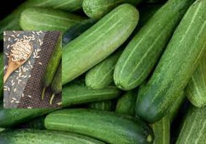  सेहत के लिए बहुत फायदेमंद होता है खीरे के बीज का पाउडर 