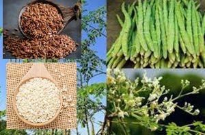   कैल्शियम की कमी होने पर इन 5 चीजों का सेवन 