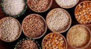   वजन घटाने के ल&zwj;िए डाइट में शाम&zwj;िल करें ये 5 लो कार्ब अनाज 