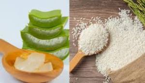   ग्लोइंग स्किन पाने के लिए लगाएं चावल के आटे और एलोवेरा का फेस मास्क 