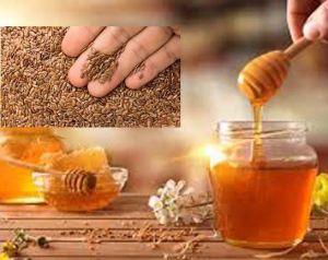 सर्दियों में अलसी और शहद से पाएं दमकती त्वचा सर्दियों में अलसी और शहद से पाएं दमकती त्वचा