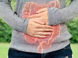 कब्ज की समस्या से रहते हैं परेशान तो फॉलो करें ये एक दिन का डाइट प्लान, मिलेगा आराम कब्ज की समस्या से रहते हैं परेशान तो फॉलो करें ये एक दिन का डाइट प्लान, मिलेगा आराम