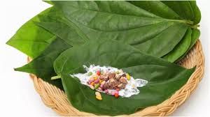  औषधीय गुणों से भरपूर होते हैं पान के पत्ते, जानें फायदे-नुकसान और सेवन के तरीके