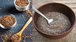  अलसी, चिया और मेथी के बीजों को भिगोकर खाने से मिलते हैं सेहत को खास फायदे 