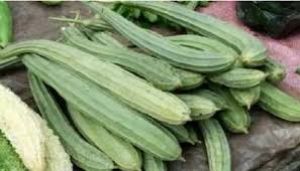  गर्मियों में तोरई खाने से सेहत को मिलेंगे ये 5 जबरदस्त फायदे