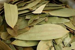 रोज के खाने में क्यों लगाएं तेज पत्ता का तड़का? रोज के खाने में क्यों लगाएं तेज पत्ता का तड़का?