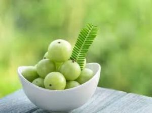   आयुर्वेद में छुपा है काले बालों का सीक्रेट, इन 5 हर्ब्स को करें डाइट में शामिल 