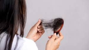  नहीं रुक रहा हेयर फॉल तो इस्तेमाल करें जड़ी बूटियों से बना शैंपू