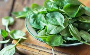  बरसात में भूलकर भी ना खाएं ये 5 सब्जियां