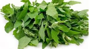 सर्दियों में जरूर खाएं बथुआ सर्दियों में जरूर खाएं बथुआ