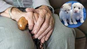  बुजुर्ग ने कुत्ते-बिल्लियों के नाम कर दी अपनी 23 करोड़ की दौलत