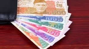 पाकिस्तान प्रयोग के तहत पॉलिमर प्लास्टिक से बने नए मुद्रा नोट चलन में लाएगा