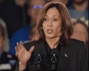 अमेरिकियों को एक दूसरे के खिलाफ खड़ा कर रहे हैं ट्रंप: कमला हैरिस अमेरिकियों को एक दूसरे के खिलाफ खड़ा कर रहे हैं ट्रंप: कमला हैरिस