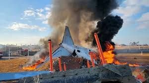 साउथ कोरिया में भयंकर विमान हादसा, रनवे से फिसलकर दीवार से टकराया प्लेन, 179 लोगों के मरने की आशंका