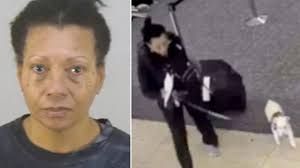  विमान में चढ़ने की अनुमति नहीं मिली तो महिला ने कुत्ते को हवाई अड्डे के शौचालय में डुबोकर मार डाला