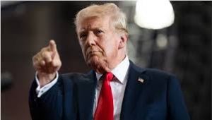 ट्रंप ने अधिकारियों को दिए प्रदर्शनकारियों को पकड़ने और उन्हें वापस भेजने के निर्देश ट्रंप ने अधिकारियों को दिए प्रदर्शनकारियों को पकड़ने और उन्हें वापस भेजने के निर्देश