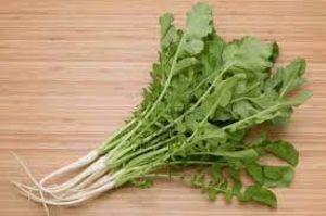 एनीमिया से लेकर पाइल्स तक की समस्या दूर करते हैं मूली के पत्ते एनीमिया से लेकर पाइल्स तक की समस्या दूर करते हैं मूली के पत्ते