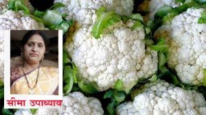 फूल गोभी के डंठल से बने पराठे और पकोड़े फूल गोभी के डंठल से बने पराठे और पकोड़े