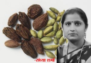 खाना पकाते समय ऐसे करें छोटी-बड़ी इलायची का इस्तेमाल