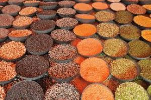  अब किसी भी दाल में नहीं लगेंगे कीड़े, 6 महीने तक रहेगी फ्रेश,  डिब्बे में डाल दें एक चीज