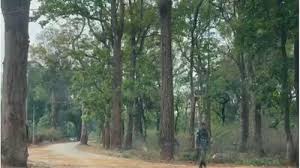 तेलंगाना के डीजीपी ने माओवादियों को राज्य छोड़ने की चेतावनी दी तेलंगाना के डीजीपी ने माओवादियों को राज्य छोड़ने की चेतावनी दी