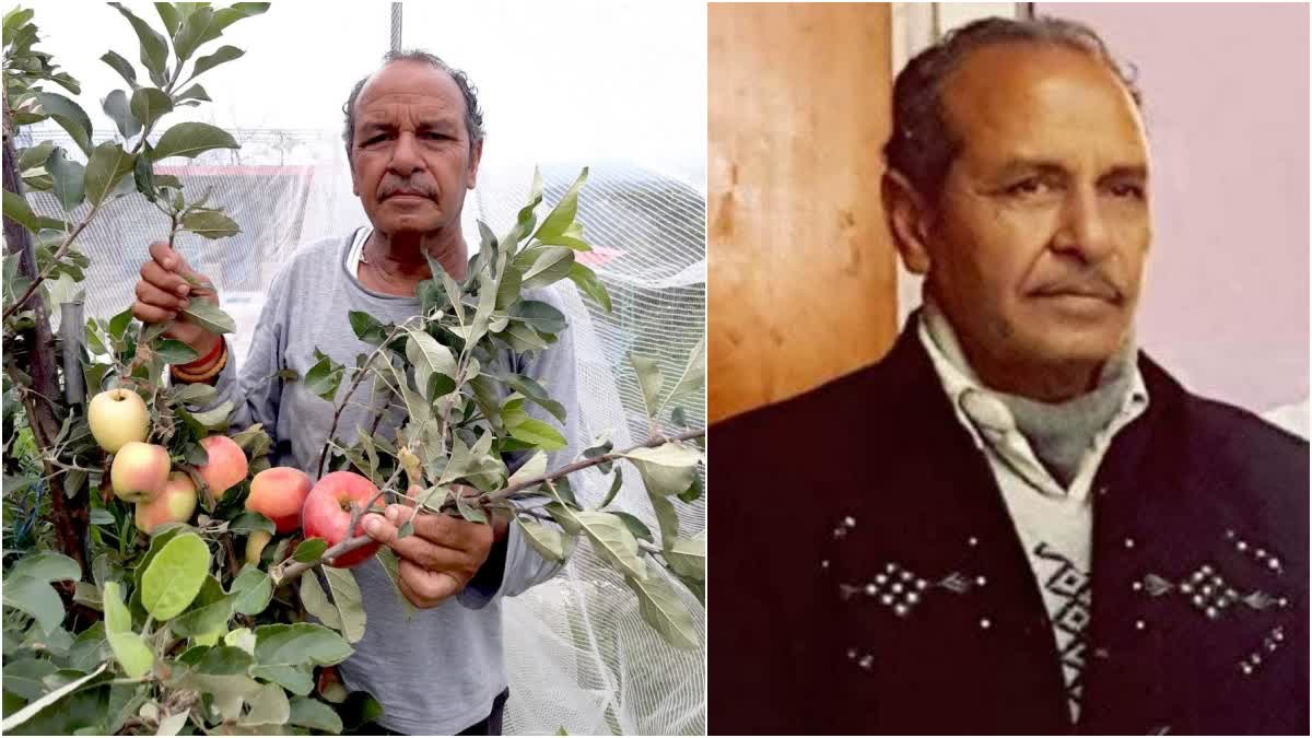 भारत के एप्पल मैन हरिमन शर्मा को पद्मश्री पुरस्कार, उनके नवाचार से सेब की बागवानी में आई क्रांति भारत के एप्पल मैन हरिमन शर्मा को पद्मश्री पुरस्कार, उनके नवाचार से सेब की बागवानी में आई क्रांति