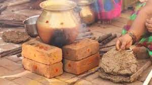  भारत की 41 प्रतिशत आबादी खाना पकाने के लिए अब भी जैव ईंधन पर निर्भर : रिपोर्ट