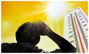 भीषण गर्मी: लू से 110 लोगों की मौत, संदिग्ध तापघात के 40,000 से अधिक मामले आए सामने भीषण गर्मी: लू से 110 लोगों की मौत, संदिग्ध तापघात के 40,000 से अधिक मामले आए सामने