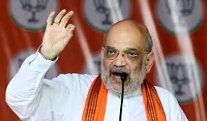 अगले महीने पुणे में भाजपा की बैठक को अमित शाह कर सकते हैं संबोधित