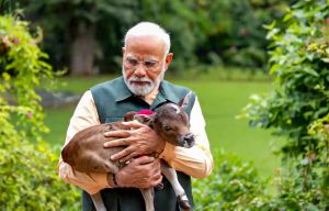 प्रधानमंत्री के आवास में बछिया का जन्म, दीपज्योति रखा नाम प्रधानमंत्री के आवास में बछिया का जन्म, दीपज्योति रखा नाम