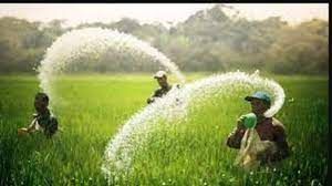  केंद्रीय मंत्रिमंडल ने पीएंडके उर्वरकों पर रबी सत्र के लिए 24,475 करोड़ रुपये सब्सिडी की मंजूरी दी