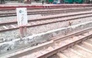 रेल की पटरियों पर लोहे का फ्रेम पड़ा मिला, मामला दर्ज रेल की पटरियों पर लोहे का फ्रेम पड़ा मिला, मामला दर्ज