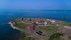 अमरीकी अखबार वॉल स्ट्रीट जर्नल ने मध्य प्रदेश को वर्ष 2025 के लिए चर्चित वैश्विक गंतव्यों में मान्यता दी अमरीकी अखबार वॉल स्ट्रीट जर्नल ने मध्य प्रदेश को वर्ष 2025 के लिए चर्चित वैश्विक गंतव्यों में मान्यता दी